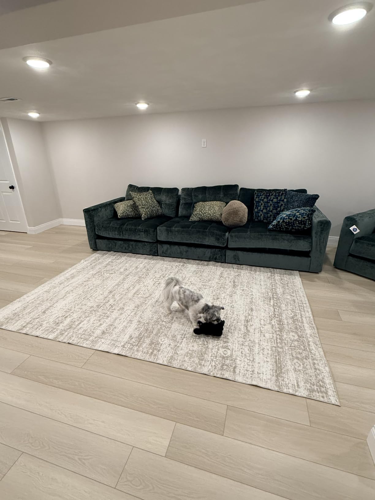 Washable Rugs 8x10 Area Rugs for Living Room,Bedroom,Dining Room Carpet customer photo 2