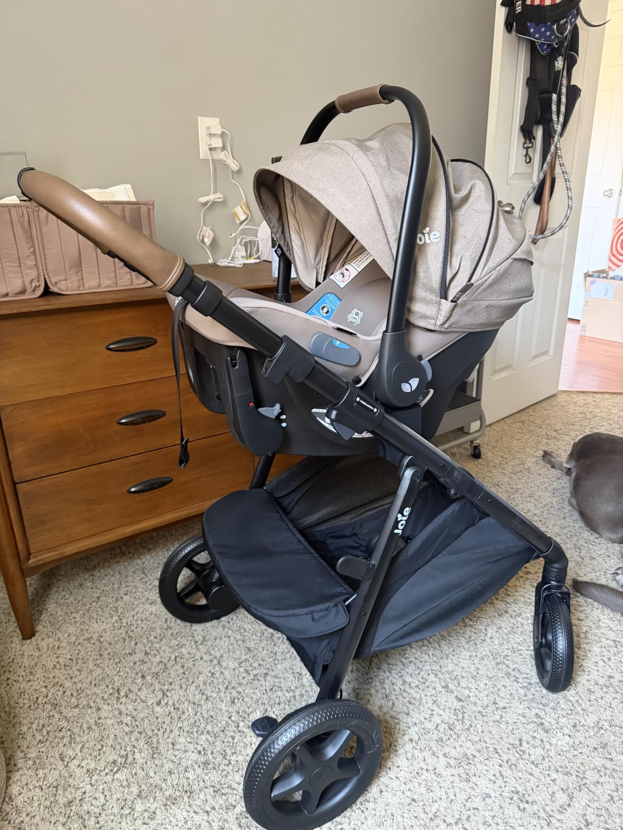 Joie Baby Ginger 4-in-1 Stroller & Mint Latch Car Seat Travel System | Lightweight Baby Car Seat with an Included Anti-Rebound Base for Easy Install and Height-Adjustable Stroller customer photo 2