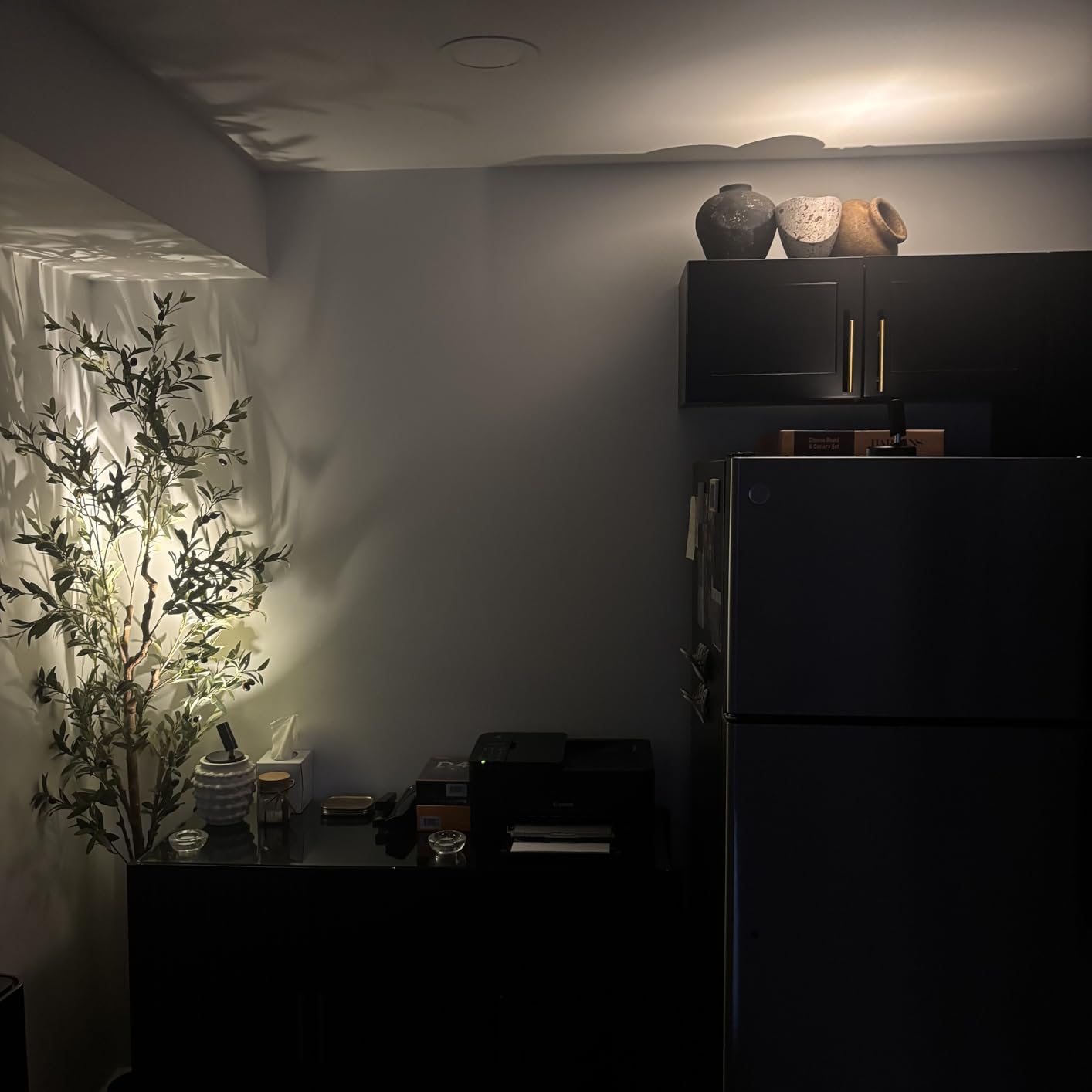 EZVALO Indoor Spotlights, Picture Lights for Wall, Uplights customer photo 1