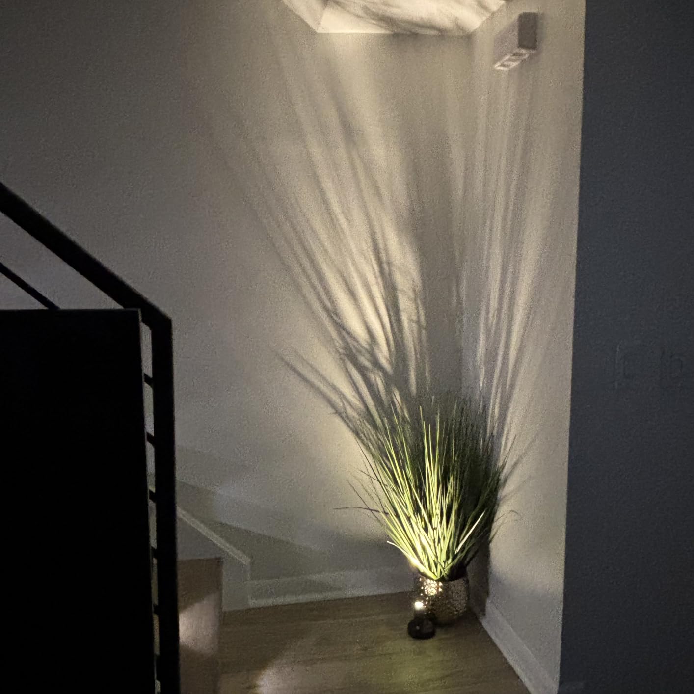 EZVALO Indoor Spotlights, Picture Lights for Wall, Uplights customer photo 2