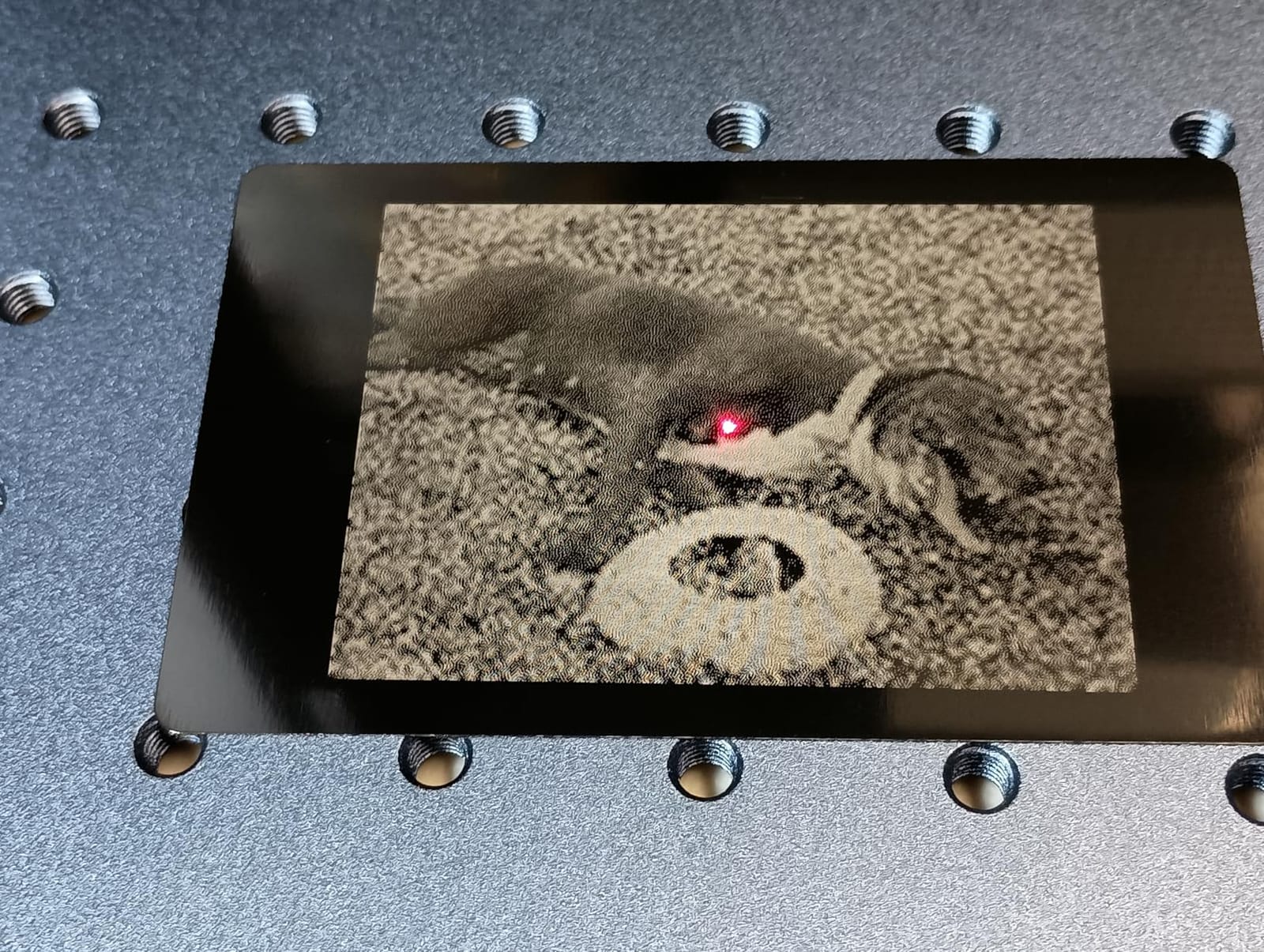 GWEIKE G2 Max 50W Fiber Laser Engraver with 3D & Deep Engraving customer photo 2