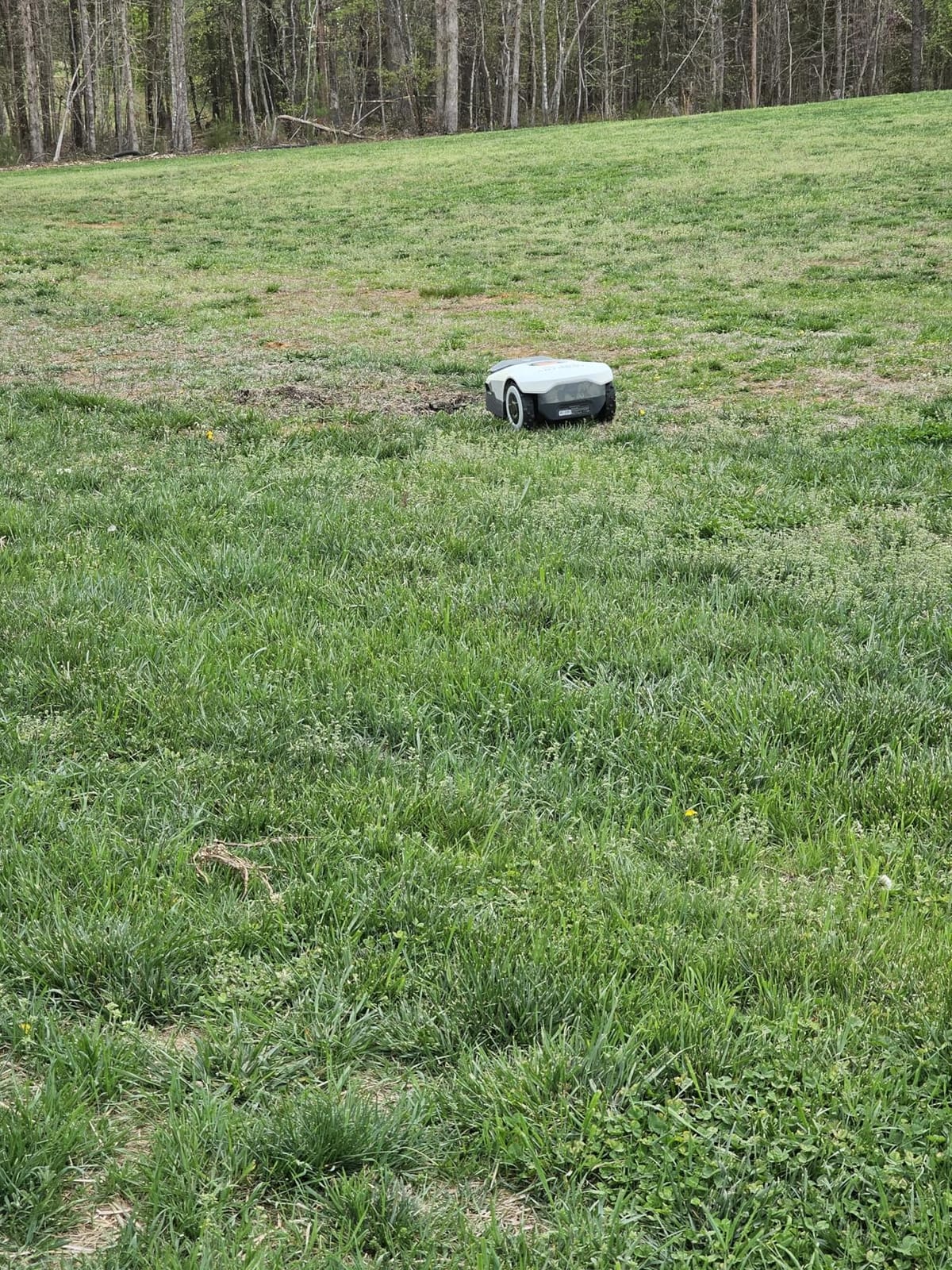 Robot Lawn Mower NO Wire - 0.9 Acre, Full Band RTK+4-Eye Vision Robotic Lawnmower, Automatic Mapping, 30 Multi-Zone Management, Accurate Obstacle Avoidance, Intelligent Anti-Theft, APP Control customer photo 2