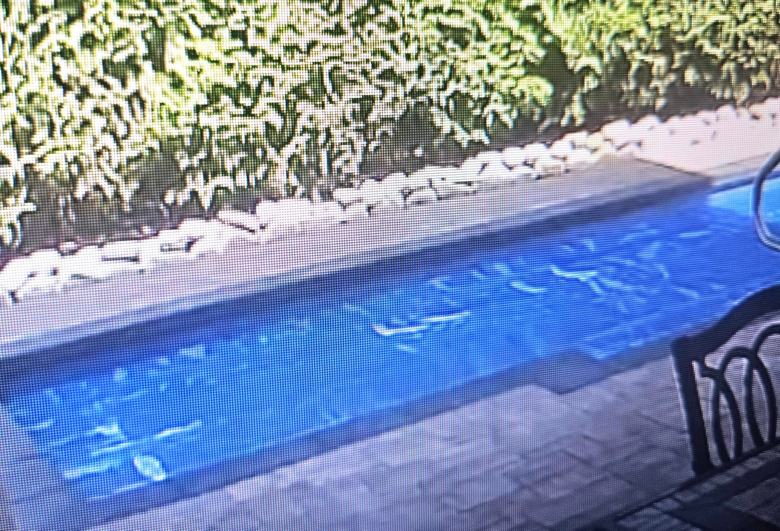 VINGLI 16Mil Solar Pool Cover, Blue 12'x24' Rectangular customer photo 2