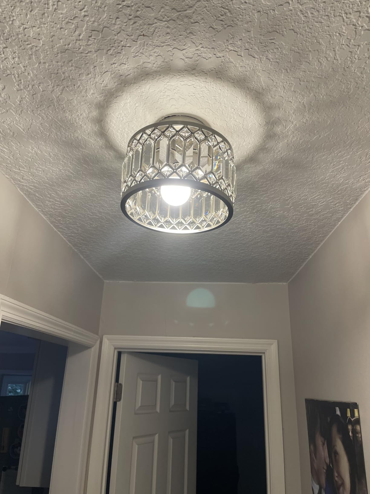 Rpzloila Crystal Ceiling Light Fixture, Modern Flush Mount Ceiling Light, Black Crystal Chandelier for Kitchen Bedroom Bathroom Entryway Hallway customer photo 1