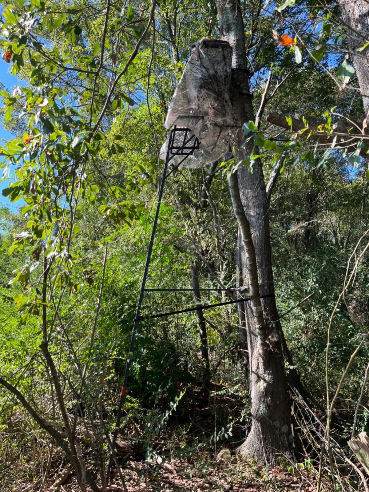 Guide Gear 16.5' 2-Man Ladder Tree Stand for Hunting Elevated Climbing Seat Hunting Gear Equipment Accessories customer photo 1