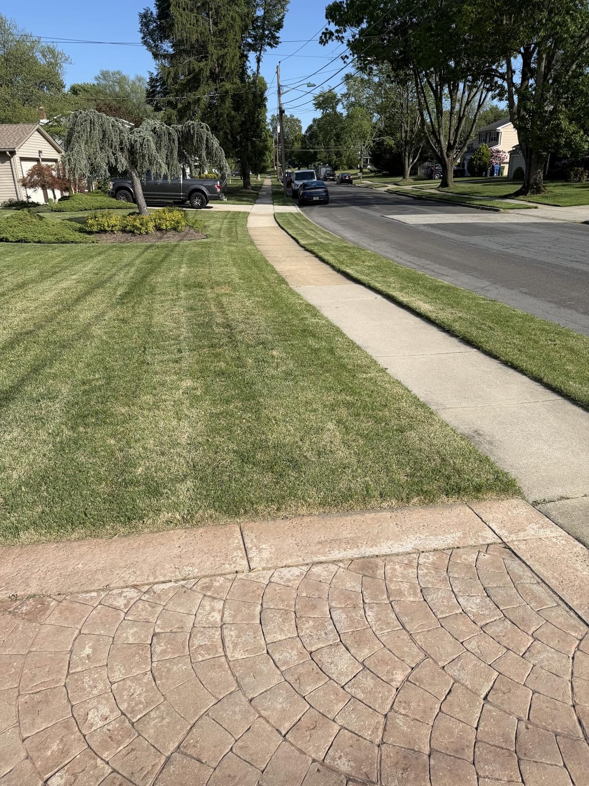 Sun Joe Corded Dethatcher & Scarifier with 13.2-Gal Bag, AJ808E customer photo 1
