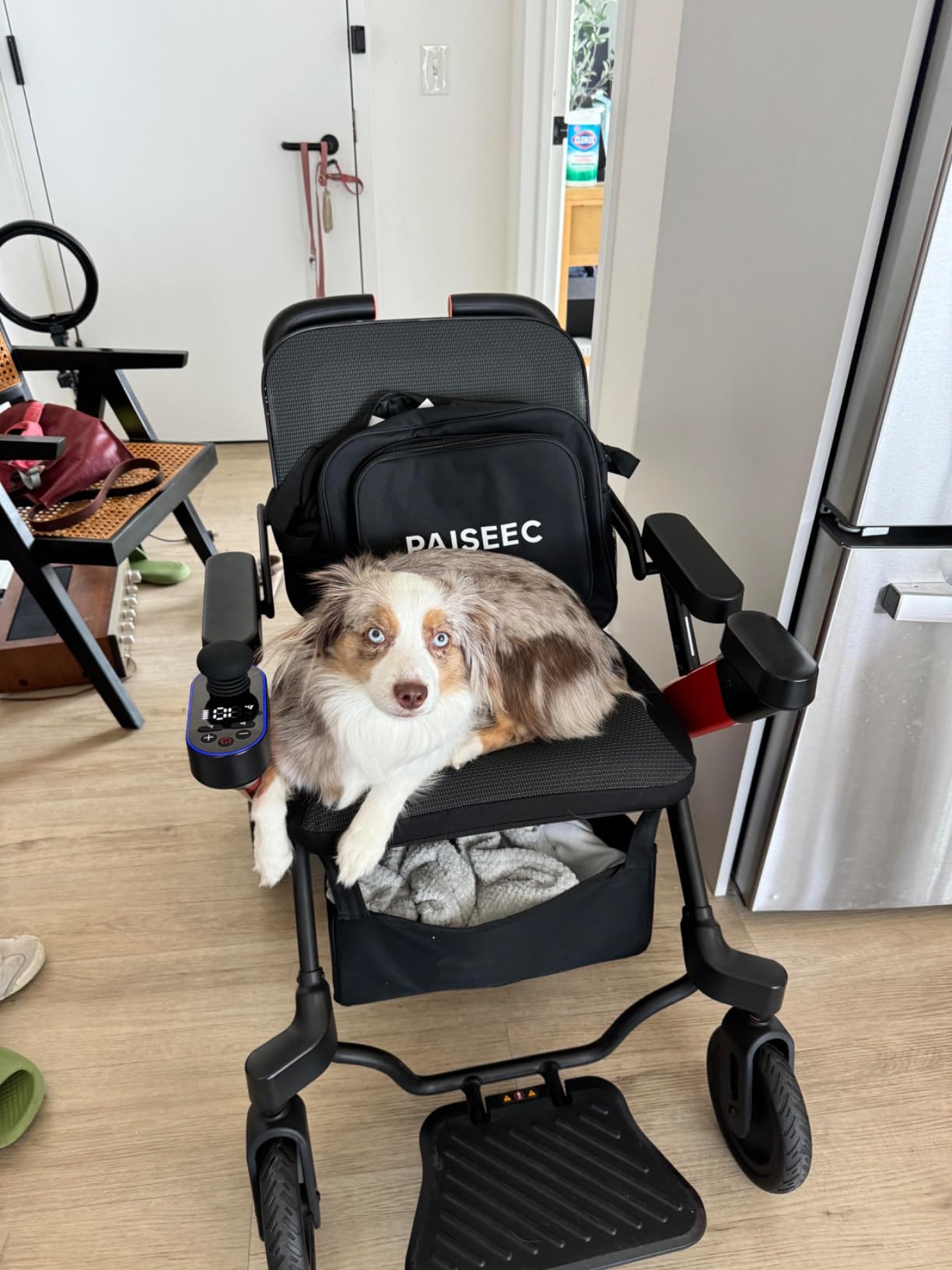 Paiseec W3 3-in-1 Electric Wheelchair for Adults with Push-Assist customer photo 1