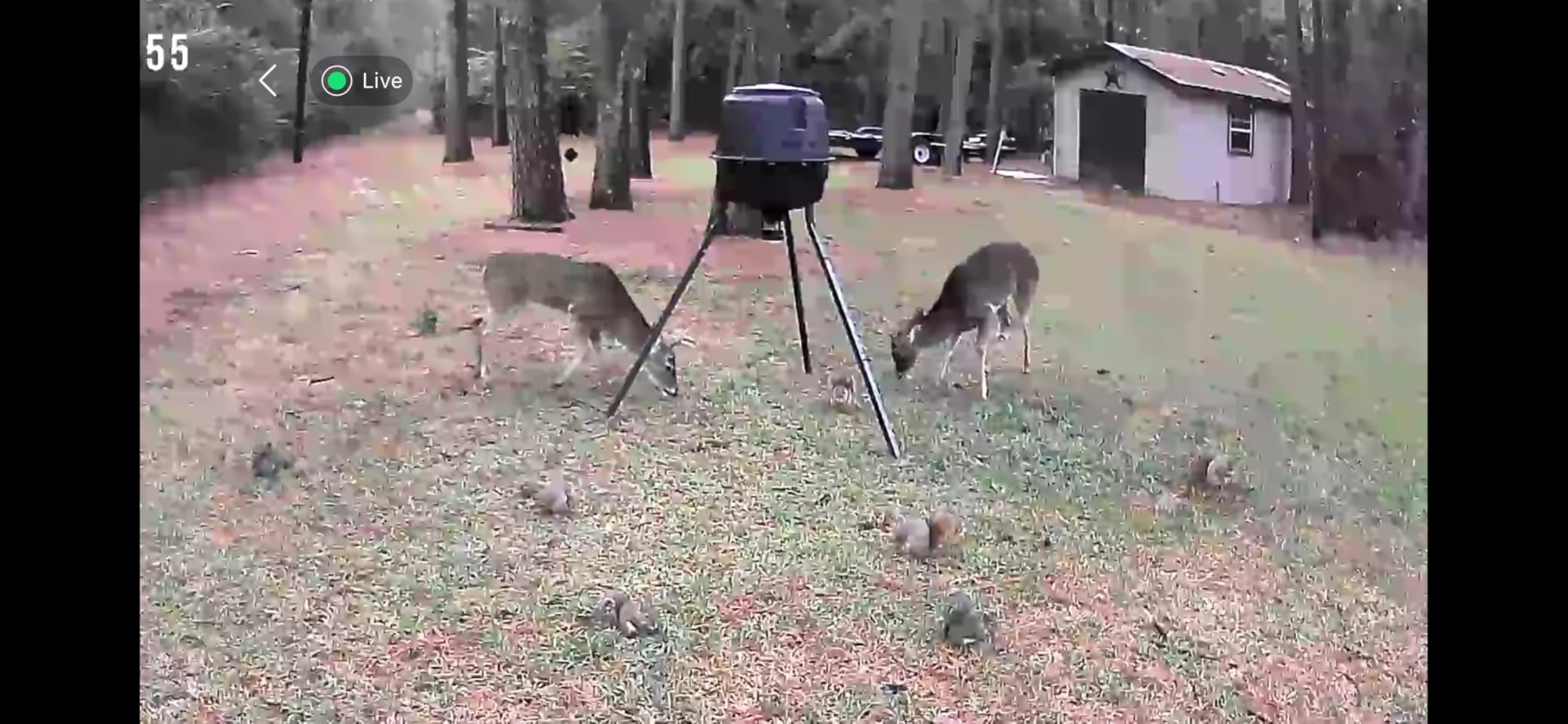 Moultrie 200 Lb Tripod Deer Feeder - Bluetooth App Control customer photo 2