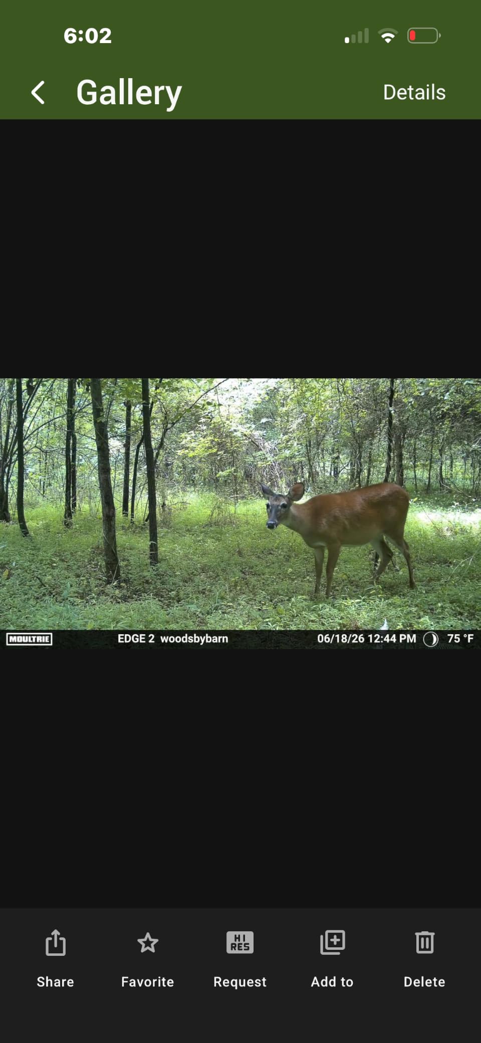 Moultrie Edge 3 Cellular Trail Camera - 2-Pack, 40MP, 0.5s Trigger customer photo 2