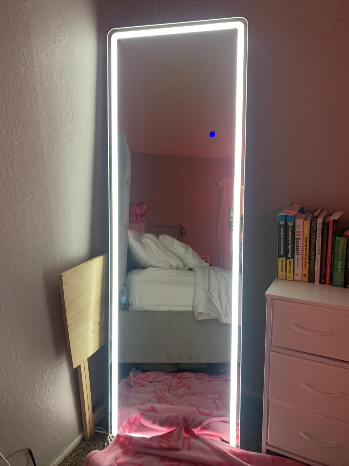 Sweetcrispy LED Full Length Floor Mirror, 65