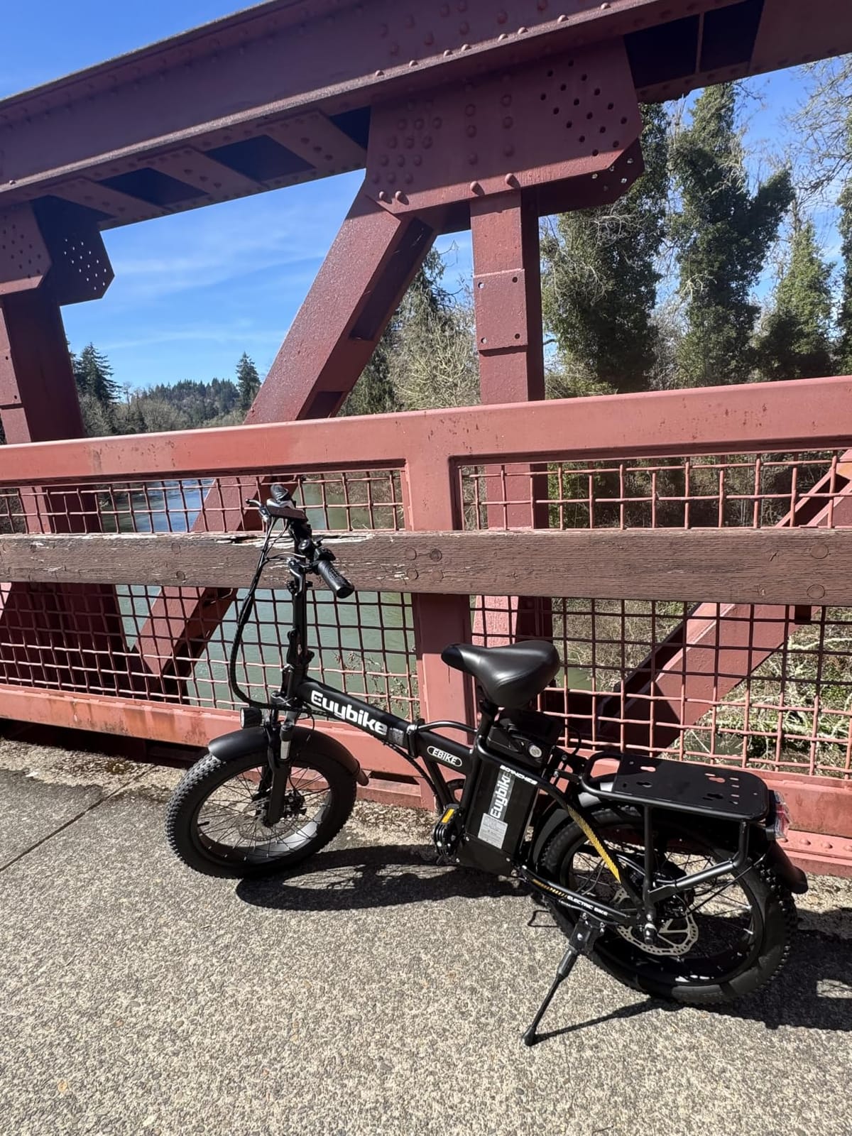 Foldable Electric Bike for Adults, 48V 20Ah Removable Lithium Battery up to 80Miles, 20