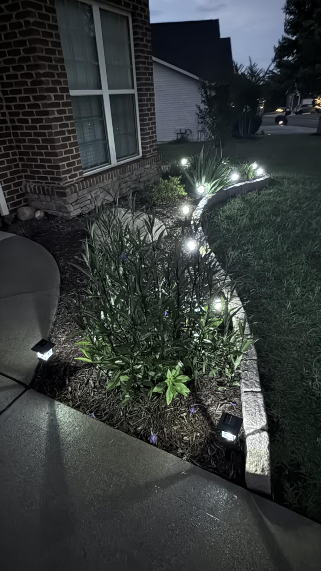 Greluna Solar Pathway Lights Outdoor,12 Pack Cool White 6000K Solar Lights, customer photo 2