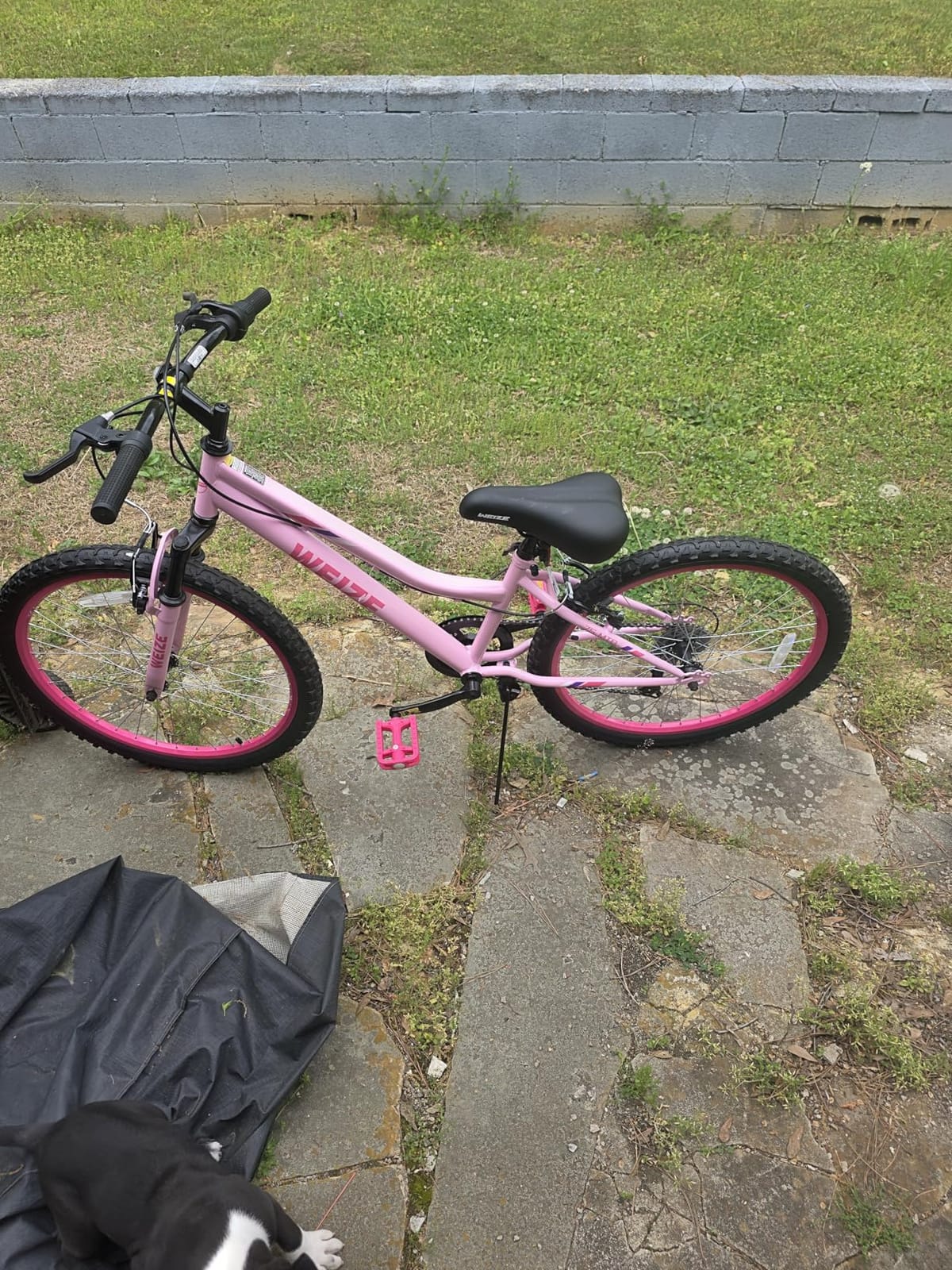 WEIZE 20 24 inch Mountain Bike Trail MTB Bicycle for Teen Girl customer photo 2