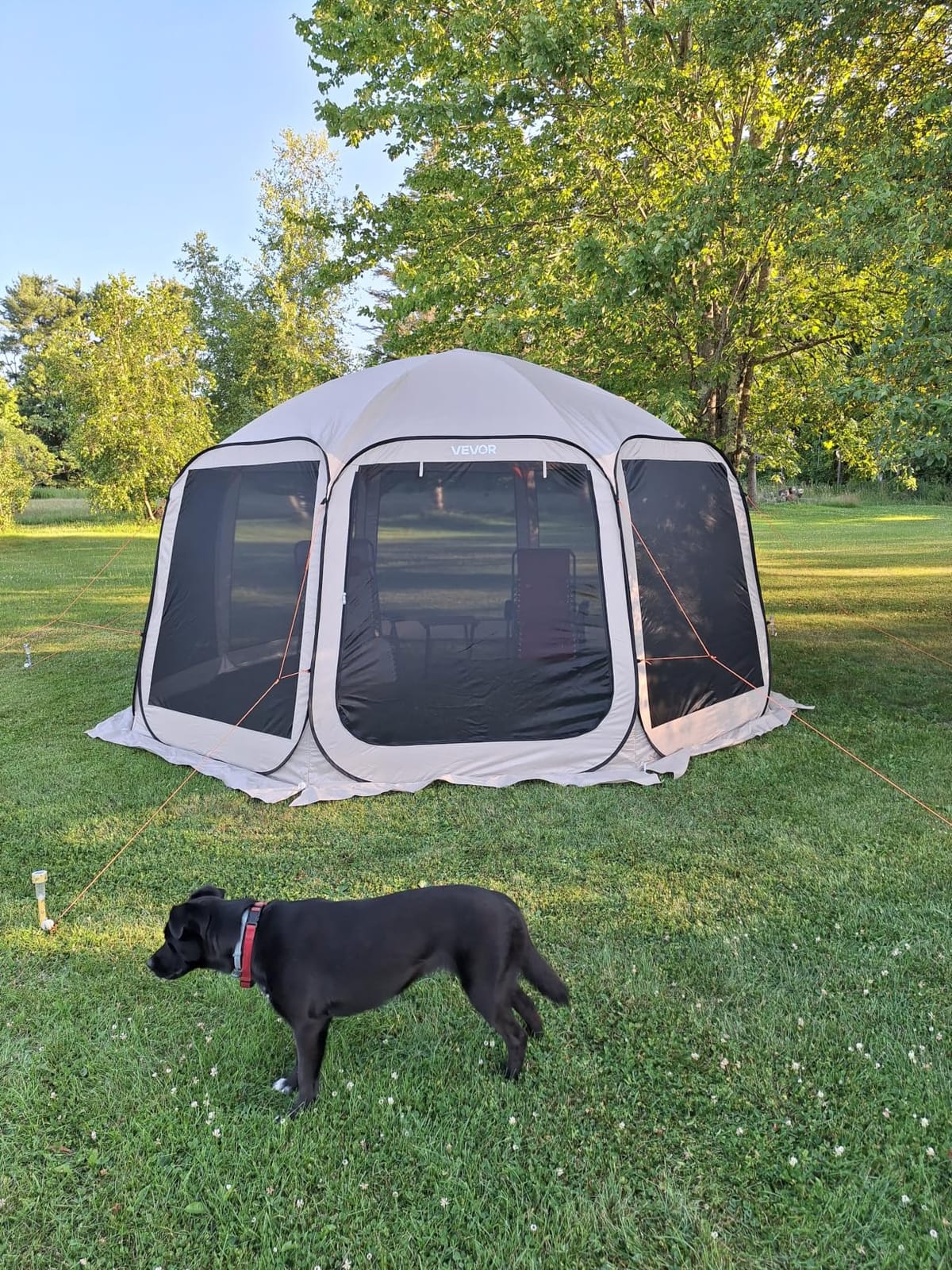 VEVOR Pop up Screen House Tent, 10 x 9.2 ft, 4-8 Person Screen Gazebo, Portable Screened in Canopy with Carry Bag, Netting Sides, Ground Stakes, for Garden, Patio, Backyard, Outdoor Activities, Beige customer photo 1