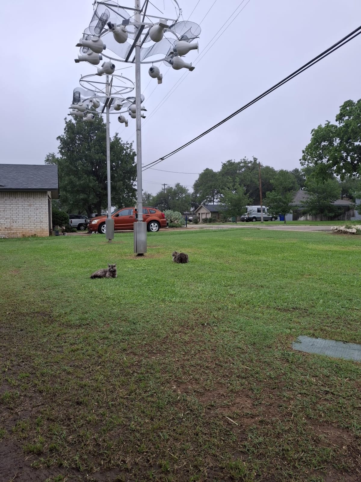 TIECTOWN 2026 Upgrade 16-Inch 15.5A Electric Dethatcher & Scarifier, Green customer photo 2