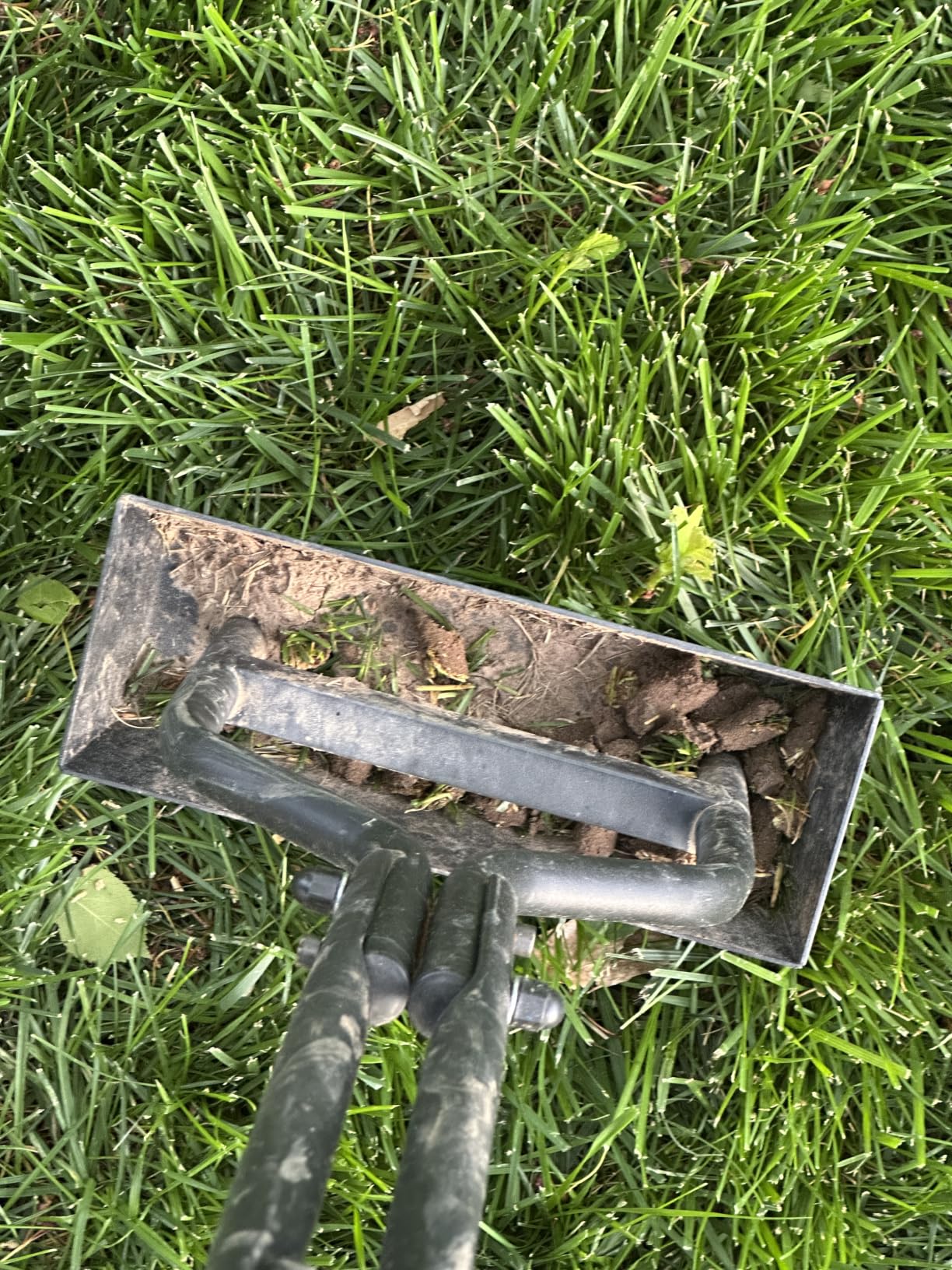 Manual Lawn Aerator with Soil Storage Basket - EEIEER Core Aerator Tool for Soil Aeration, Yard Aerating Tools with 3 Efficient Coring Tines & Cleaning Tool for Yard,Garden, Lawn Care - 38'' customer photo 2