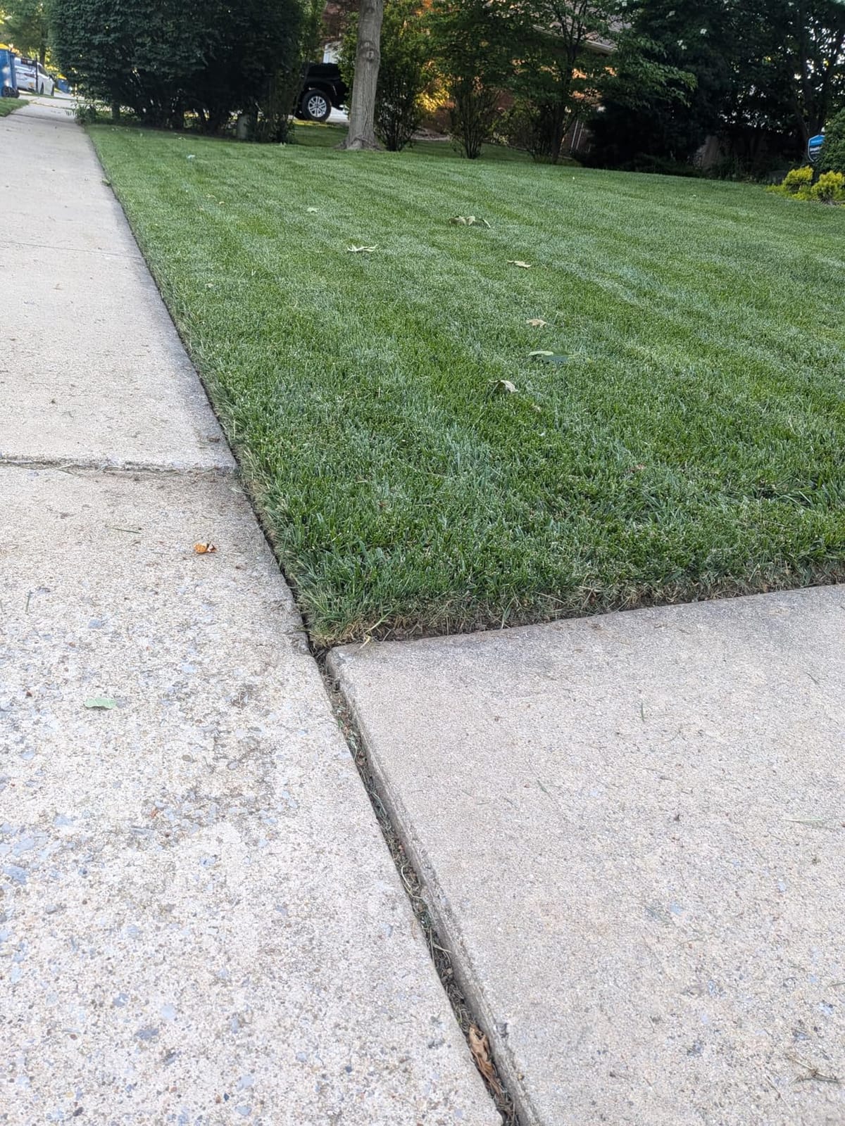 VEVOR Lawn Edger, 8-inch Blade Length, 12 Amp Electric Edger Lawn Tool, 4000 RPM, with 3-Position Blade Depth, 65 Mn, Pivoting Handle, Dual Wheels, for Lawns, Driveways, Yards, and Sidewalk Edges customer photo 1
