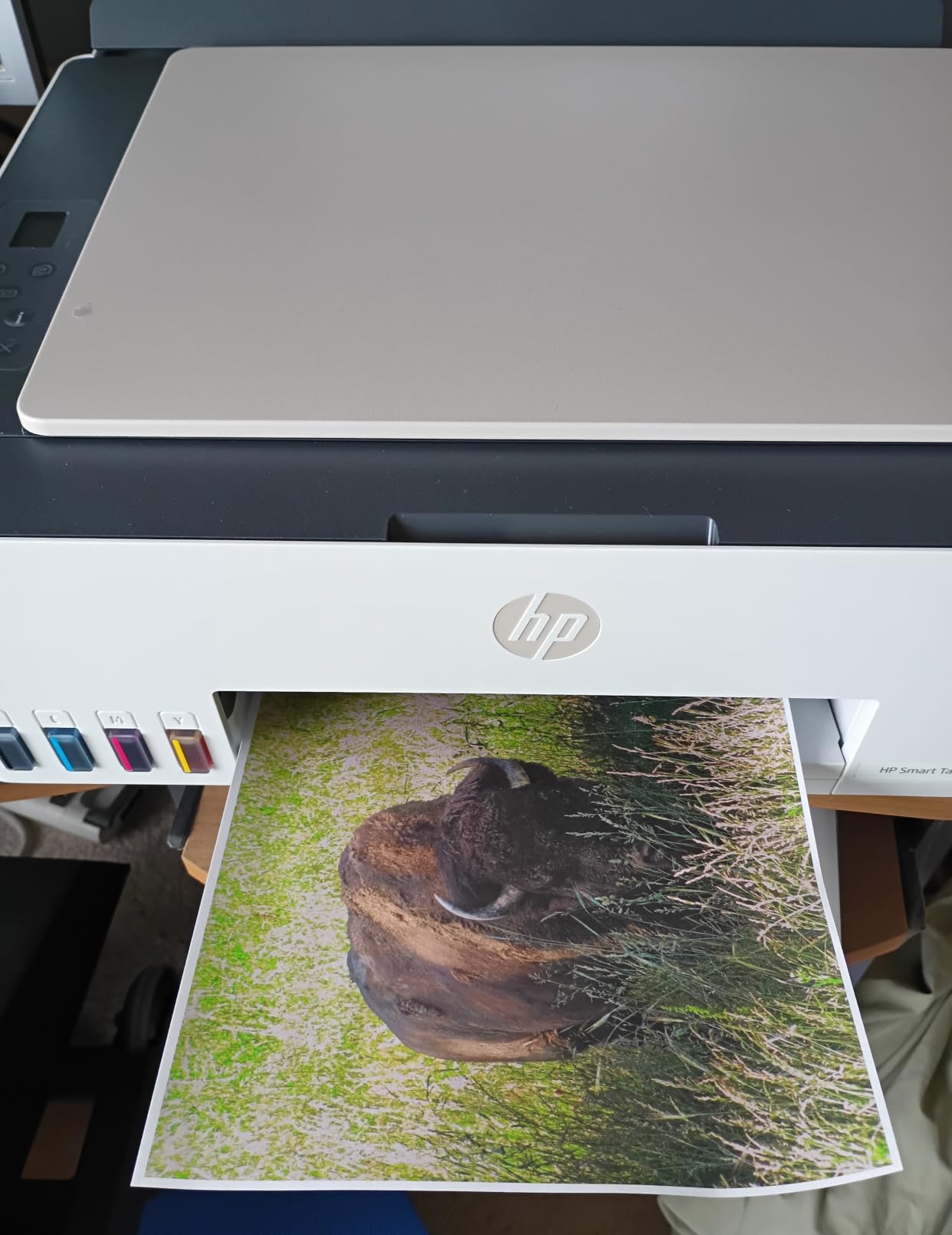 HP Smart Tank 5003 Wireless All-in-One Ink Tank Printer, Scanner, Copier with up to 3 Years of Ink Included, Best-for-Home, Cartridge-Free Refillable, AI-Capable (9B2D3A) customer photo 2