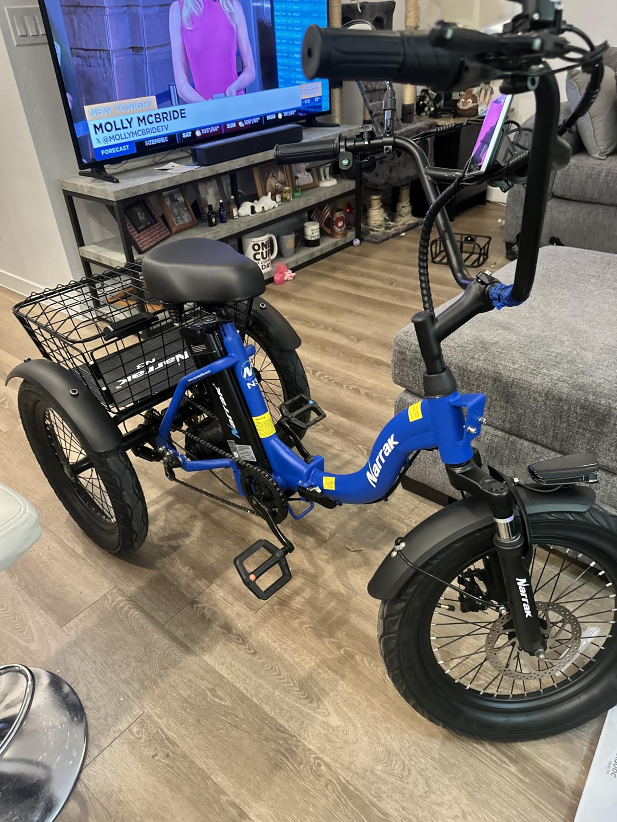 NARRAK Electric Tricycle for Adults,18