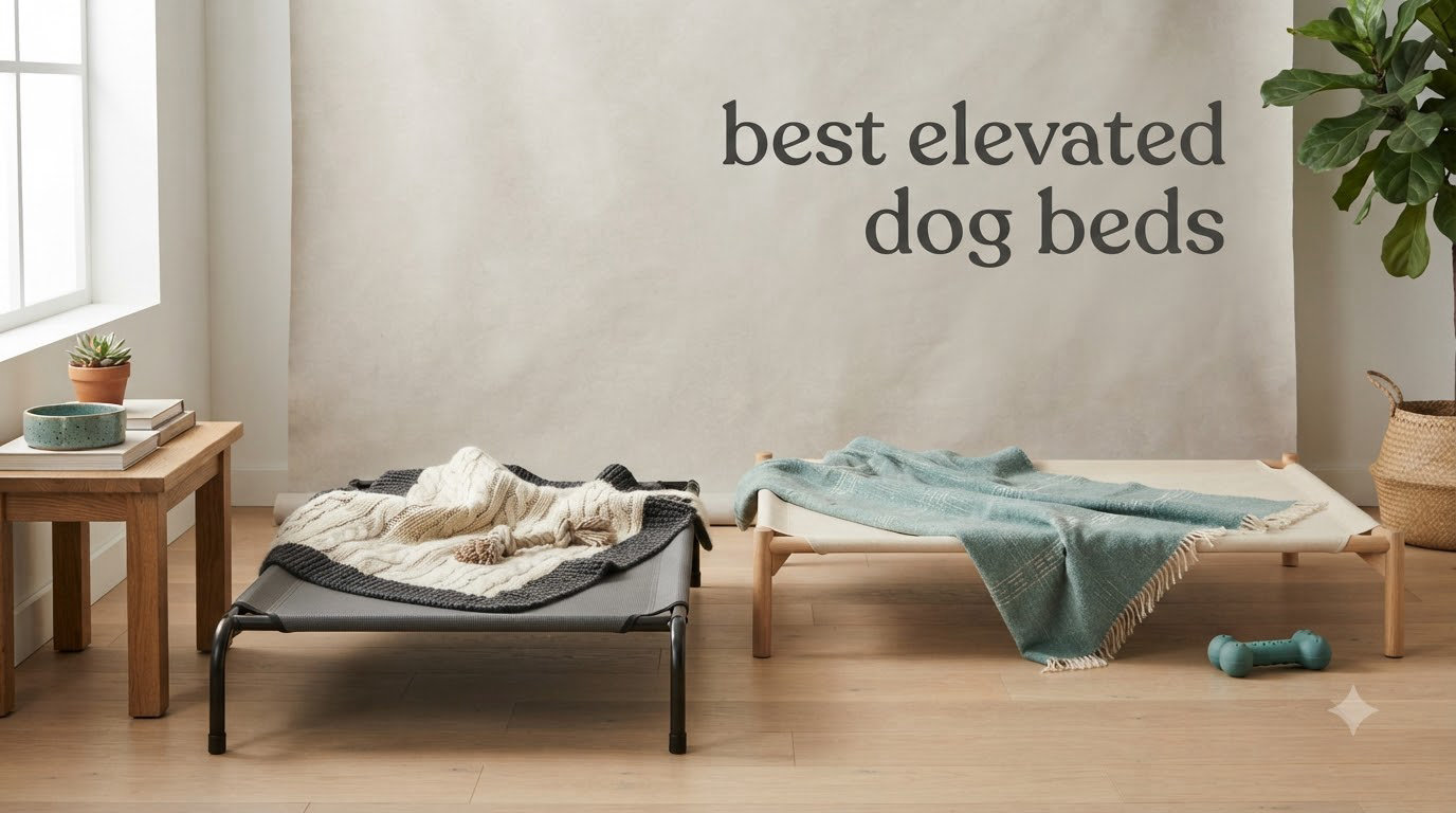 best elevated dog beds