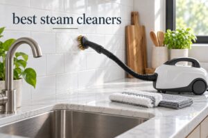 best steam cleaners