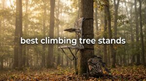 best climbing tree stands