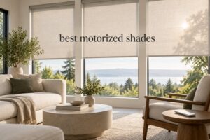 best motorized shades