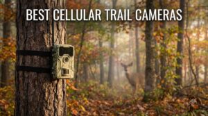 best cellular trail cameras