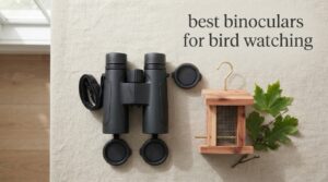 best binoculars for bird watching