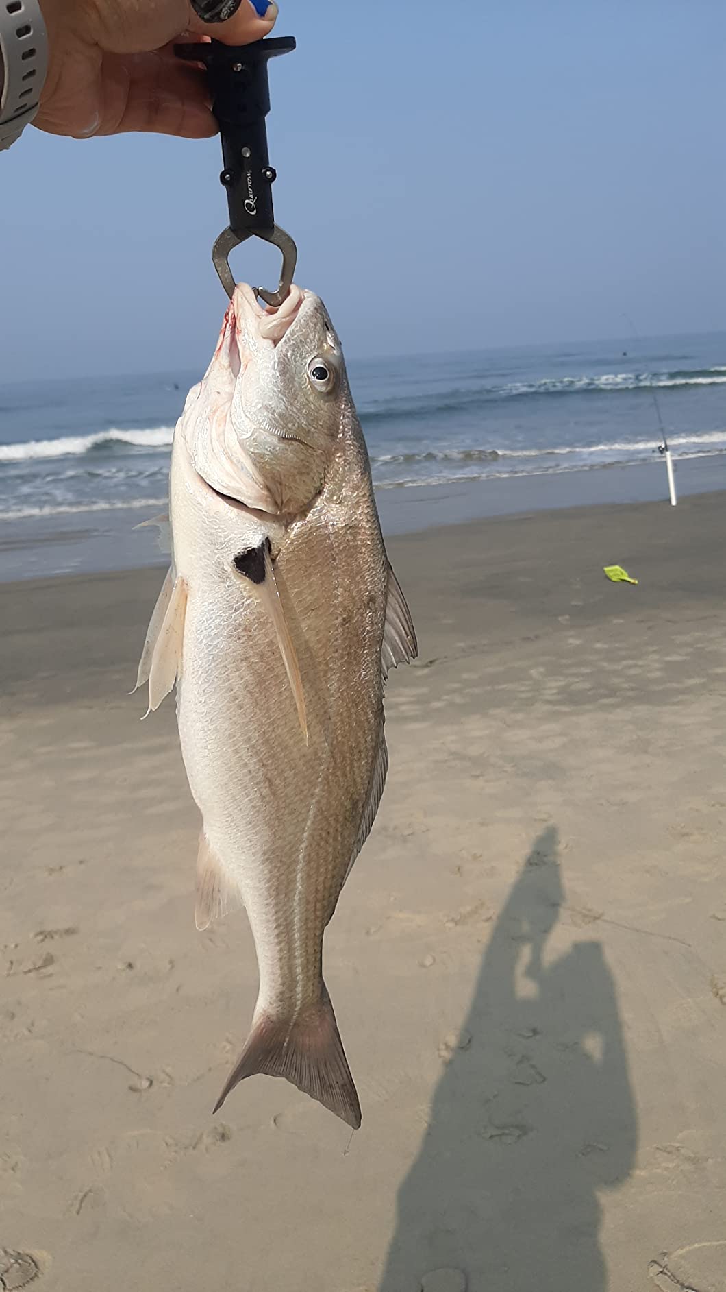 Sea StrikerPVC Sand Spike 36