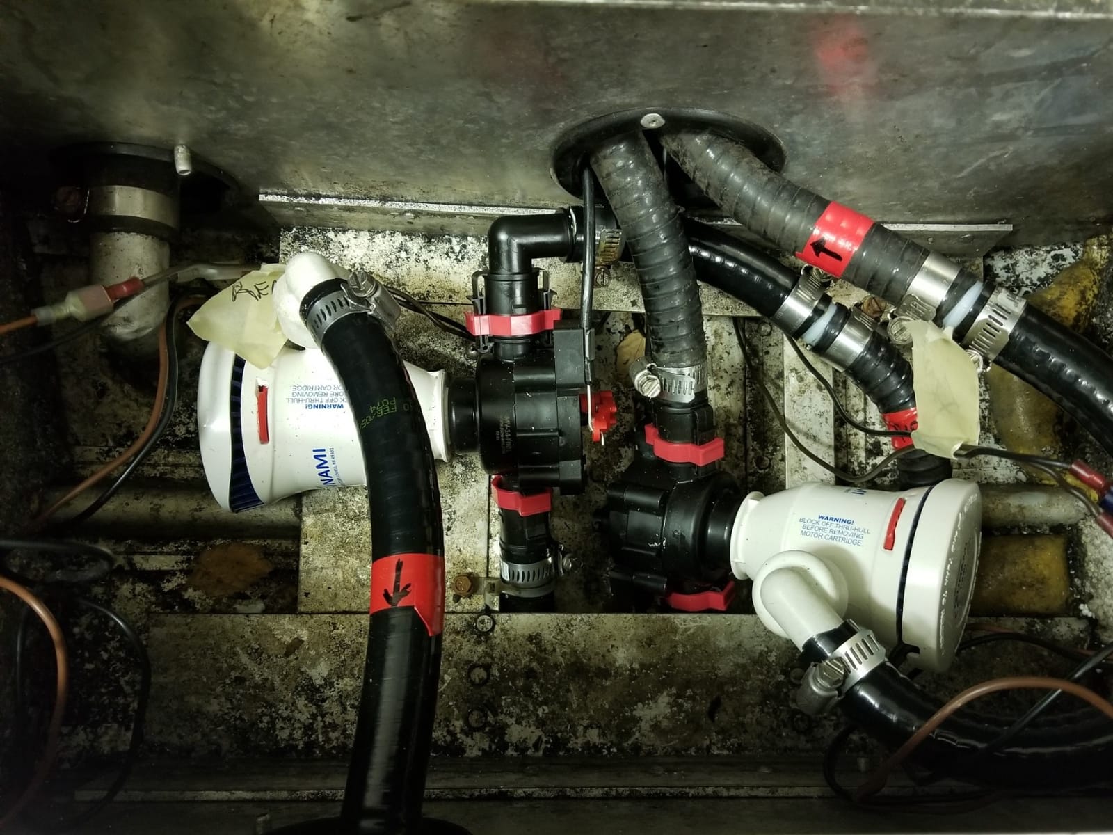 Attwood 4650-7 Tsunami T800 Aerator Pump, 800 GPH, 12-Volt, 3 ½-Inch Long Inlet, Threaded ¾-Inch Diameter Outlet, 29-Inch Wire customer photo 2