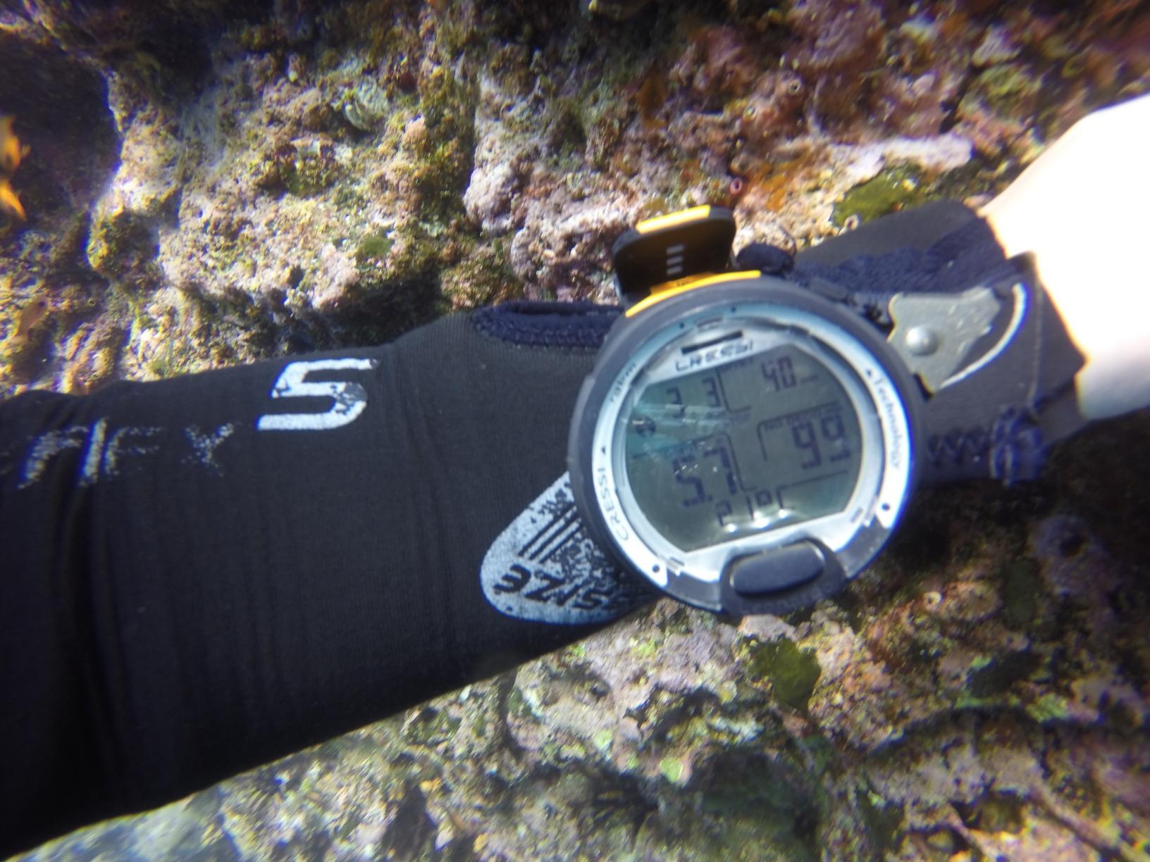 CRESSI Leonardo 2.0 G2 Dive Watch, One-Button Air Nitrox Gauge, White/Black customer photo 2