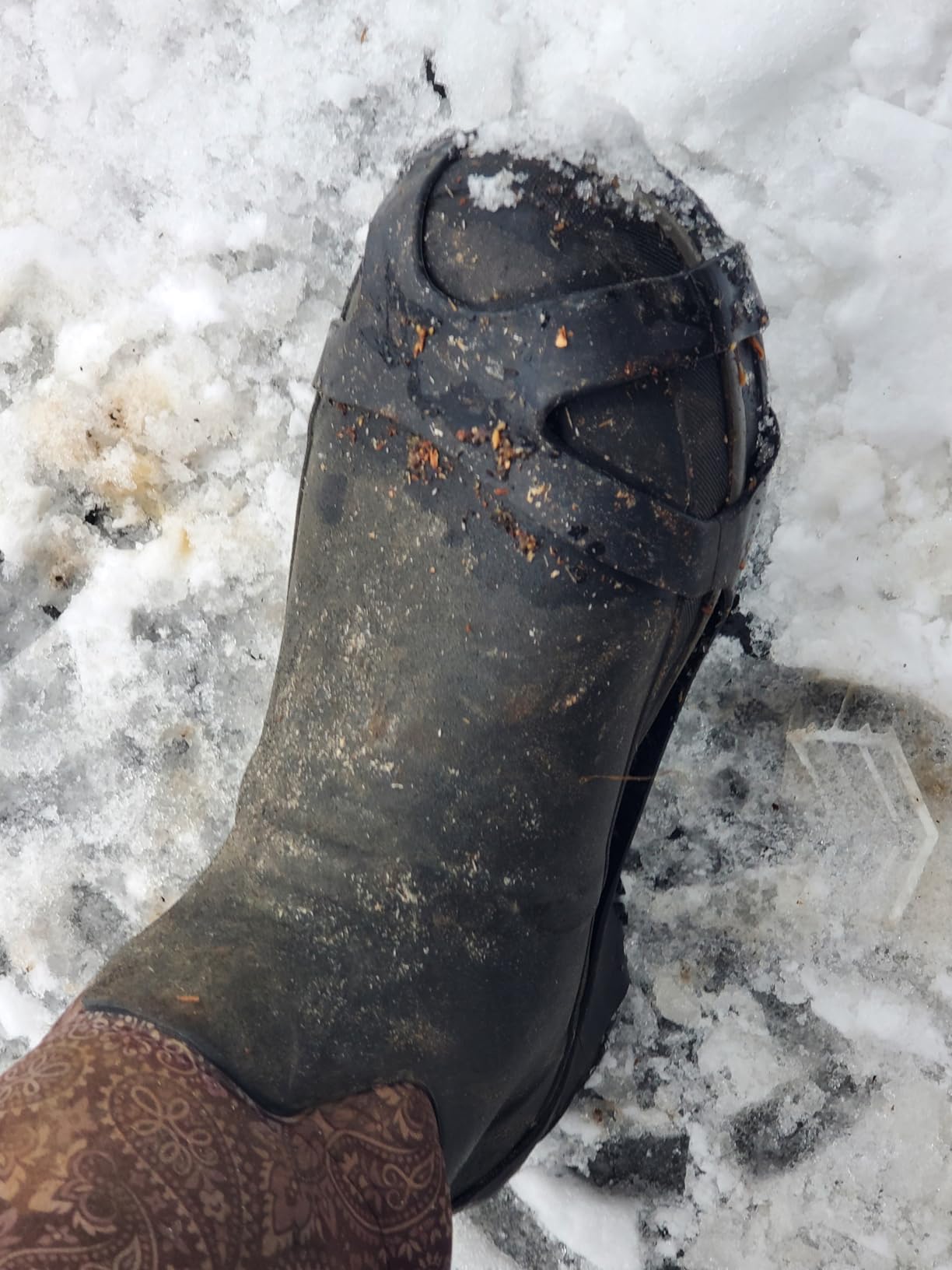 Limm Ice Snow Traction Cleats - Lightweight Crampon Cleats for Walking on Snow & Ice - Anti Slip Grippers Fasten Quickly & Easily Over Footwear - Protable Grips for Shoes and Boots customer photo 2