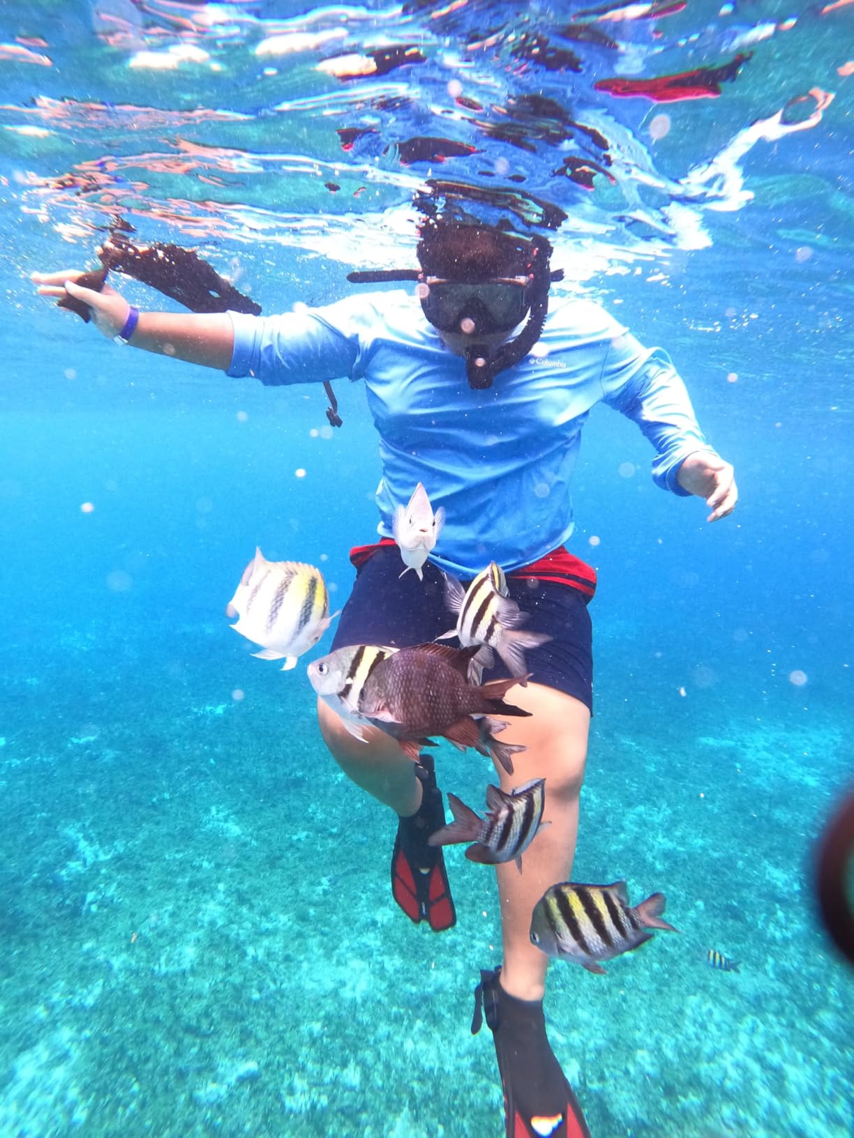 CAPAS Snorkel Fins, Travel Size Short Flippers for Snorkeling Swimming customer photo 1
