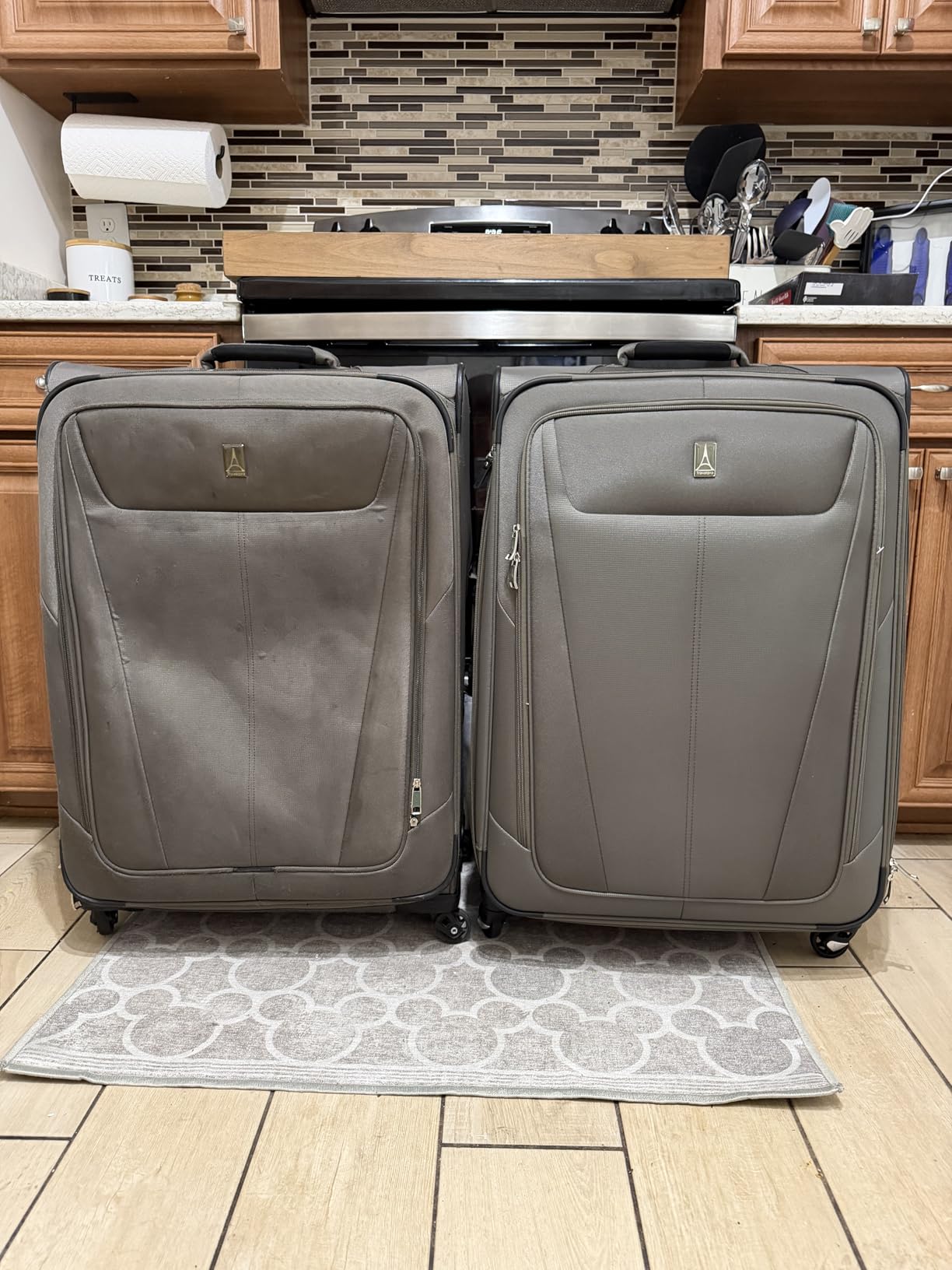 Travelpro Maxlite 5 Softside Checked Luggage Spinner, Green, 25-Inch customer photo 1