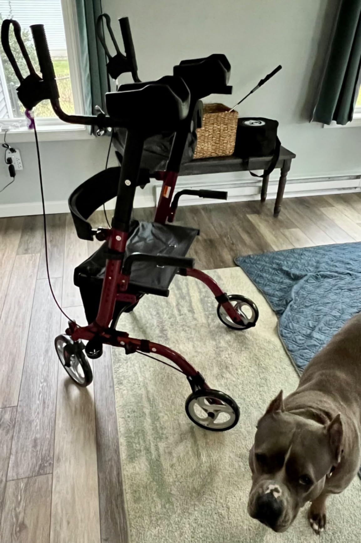 ELENKER Upright Walker, Stand Up Folding Rollator Walker Back Erect Rolling Mobility Walking Aid with Seat, Padded Armrests for Seniors and Adults, White customer photo 1