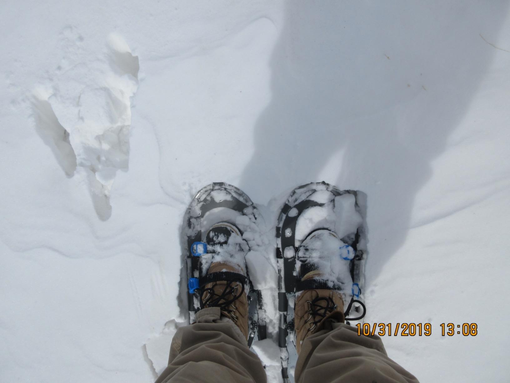 Franklin Sports Arctic Trails Snowshoes for Men + Women - Lightweight Aluminum Snowshoes for Adults customer photo 2