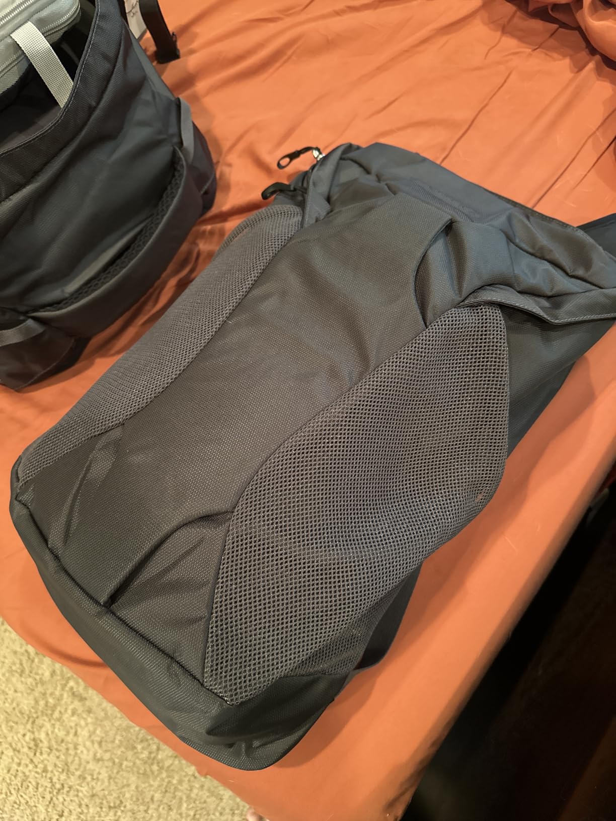 Osprey Farpoint 40L Men's Travel Backpack, Black customer photo 2