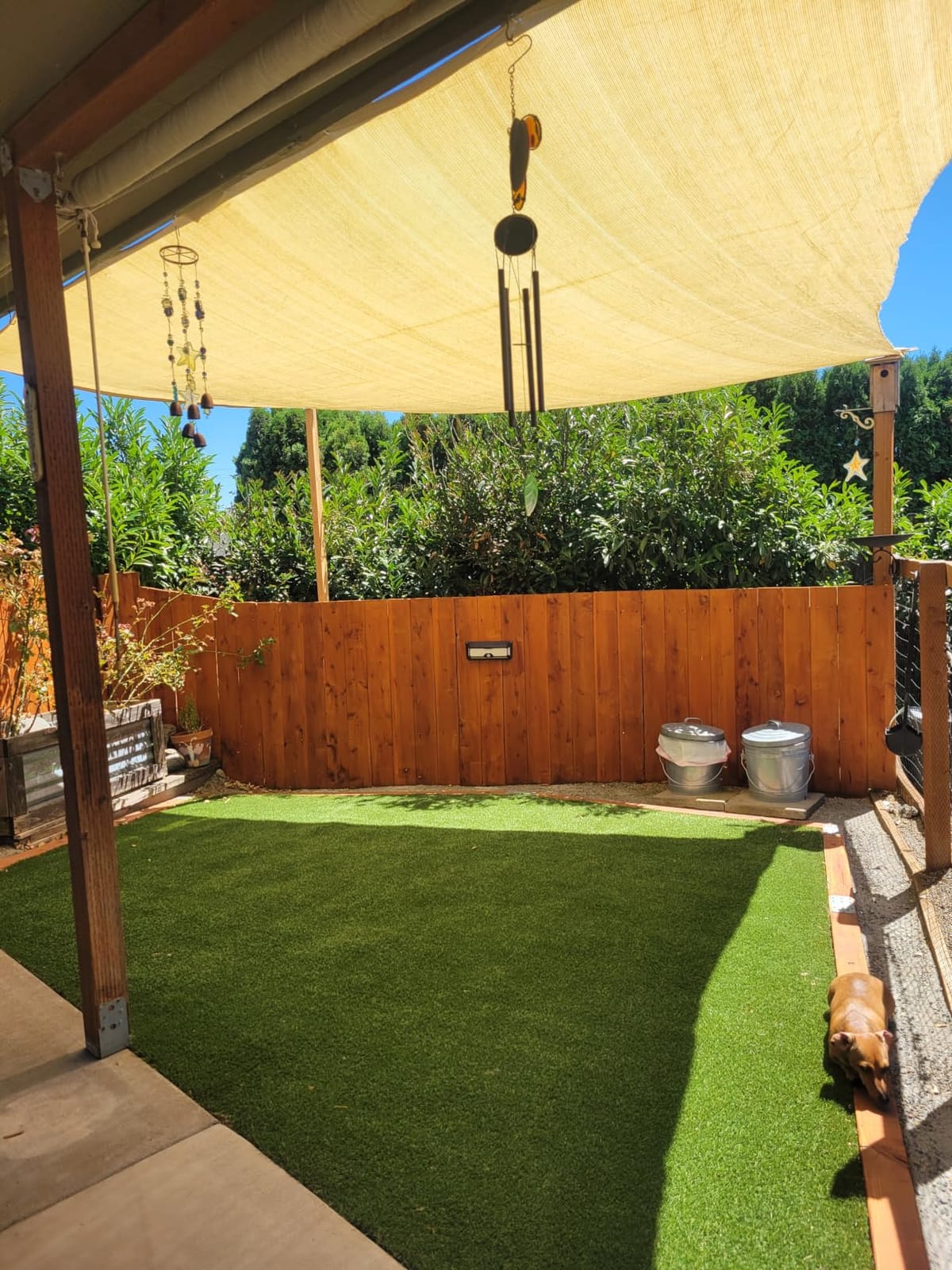 ShadeMart 10' x 13' Beige Rectangle Shade Sail for Outdoor Patio customer photo 1