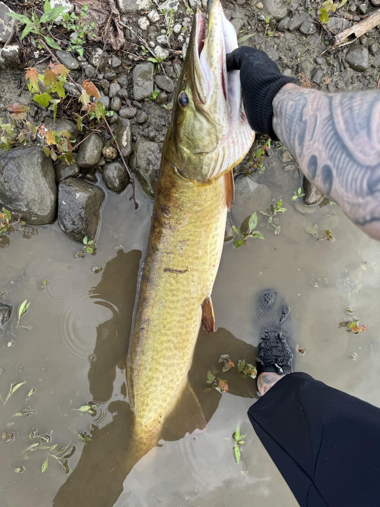 HANDING M1 Pike Heavy Casting Rod 2-Piece Musky Rod Swimbait Rod customer photo 1
