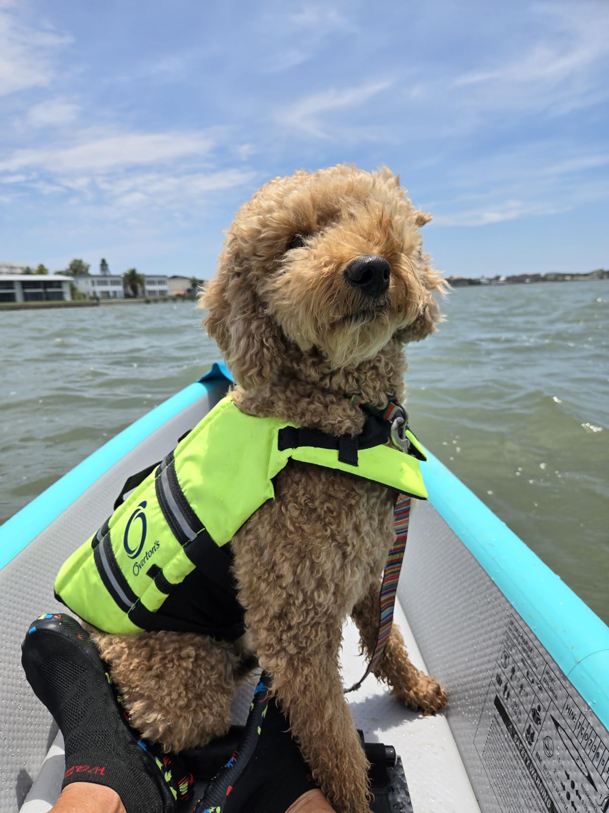 BEYOND MARINA Inflatable Kayak 1/2/3 Person Adult- Full Drop Stitch Kayak customer photo 2