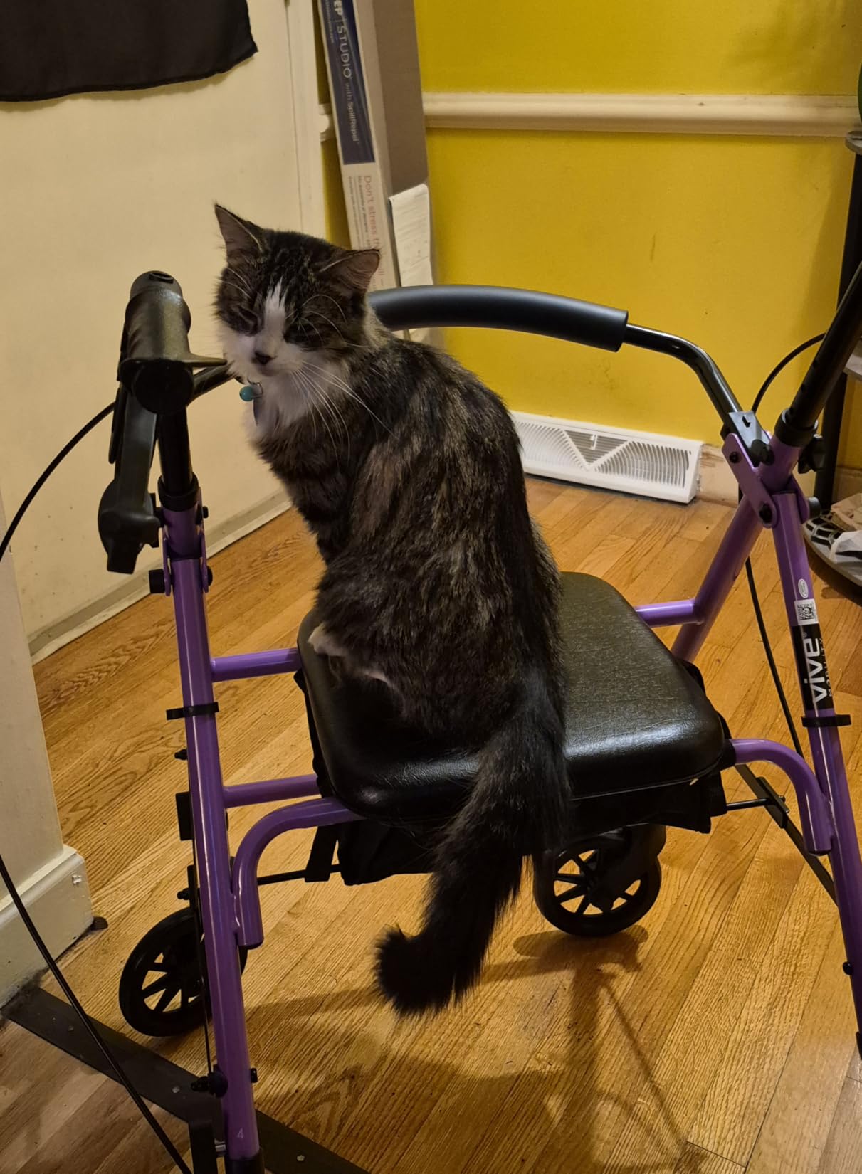 Vive Mobility Steel Rollator Walker with Seat - Foldable, Narrow, Rolling customer photo 2